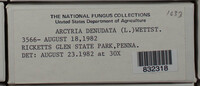Image Associated With the Occurence